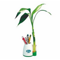 Eco Desk Caddy w/ Bud Vase